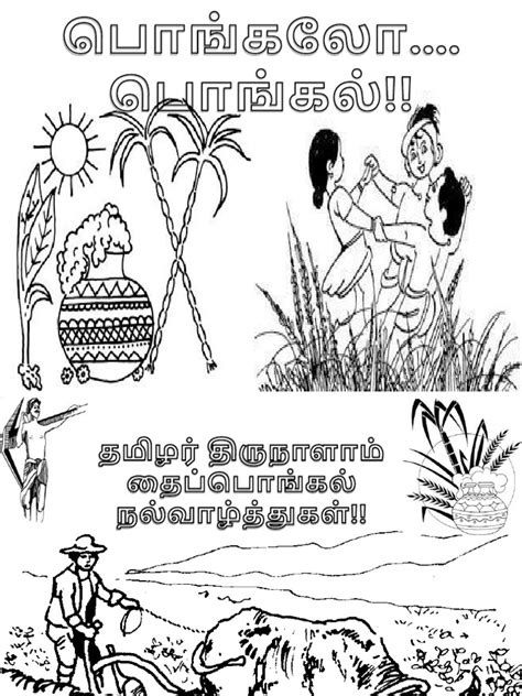 Pongal Coloring