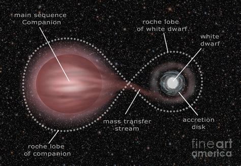 Binary Star System Photograph by Spencer Sutton - Pixels