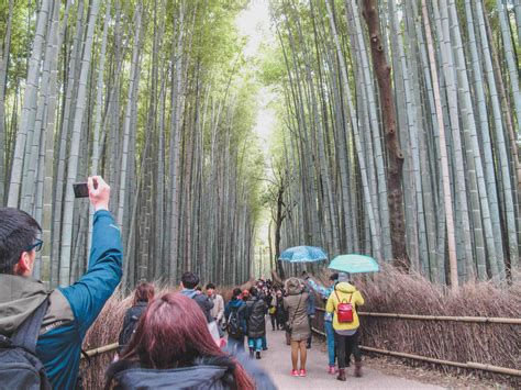 Arashiyama Bamboo Forest