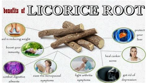 Top 10 Healthy Benefits Of Licorice Root