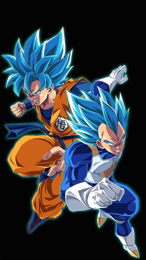 Super Saiyan Blue Goku and Vegeta by KingGoku23 on DeviantArt Dragon ...