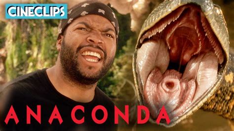 Ice Cube's Encounter With Anaconda | Anaconda | CineStream - YouTube