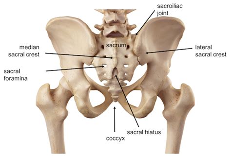 Sacrum fracture