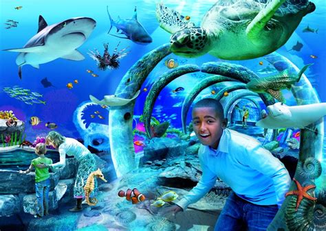 London Aquarium - Dreams Destinations