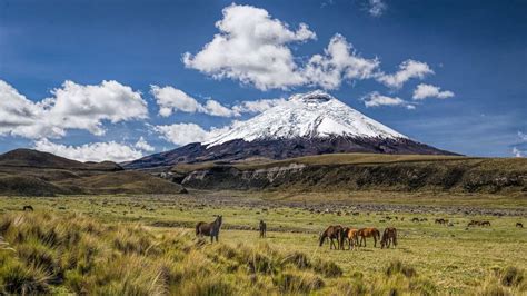 A Travel Guide to Cotopaxi National Park | National parks, Cool places ...