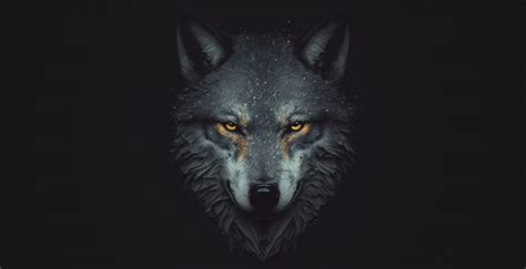 Wolf hd wallpapers, hd images, backgrounds