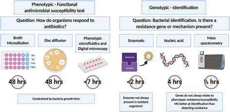 Frontiers | Challenges in Microfluidic and Point-of-Care Phenotypic ...