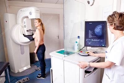 Mammography - Stock Image - C032/9413 - Science Photo Library