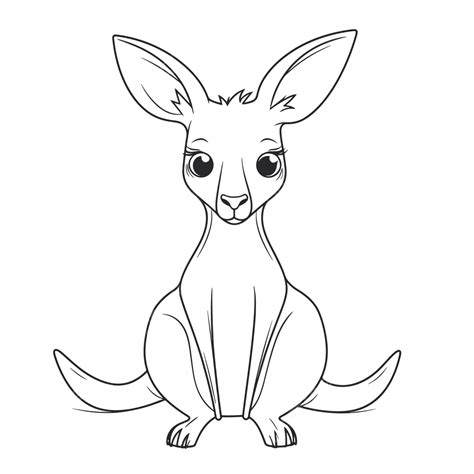 Cute Kangaroo Coloring With A White Background Outline Sketch Drawing ...