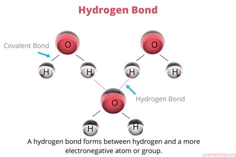 Types of Chemical Bonds