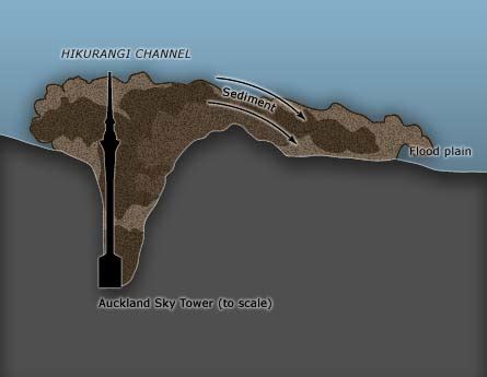 Hikurangi Channel – Sea floor geology – Te Ara Encyclopedia of New Zealand