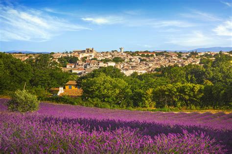 Visit Provence Lavender Fields | Lavender Fields South of France