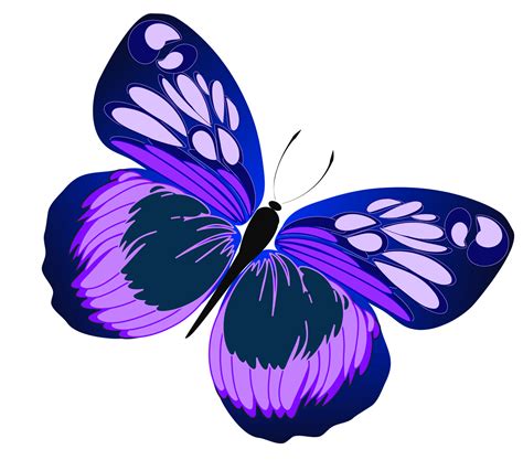 1559x1372 Clip art butterfly clipartiki 3 | Butterfly clip art ...