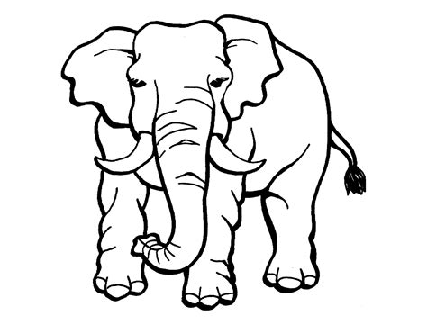 Elephant image to print and color - Elephant Coloring Pages for Kids