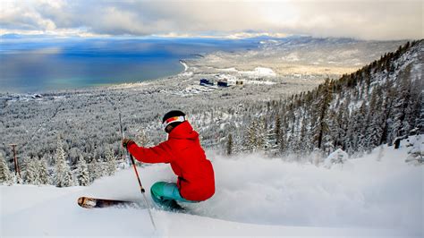 Are Dogs Allowed At Heavenly Ski Resort