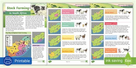 Livestock Farming in South Africa I Resource I Twinkl ZA