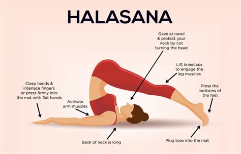 Halasana : For Better Digestion & Healthy Skin | Credihealth