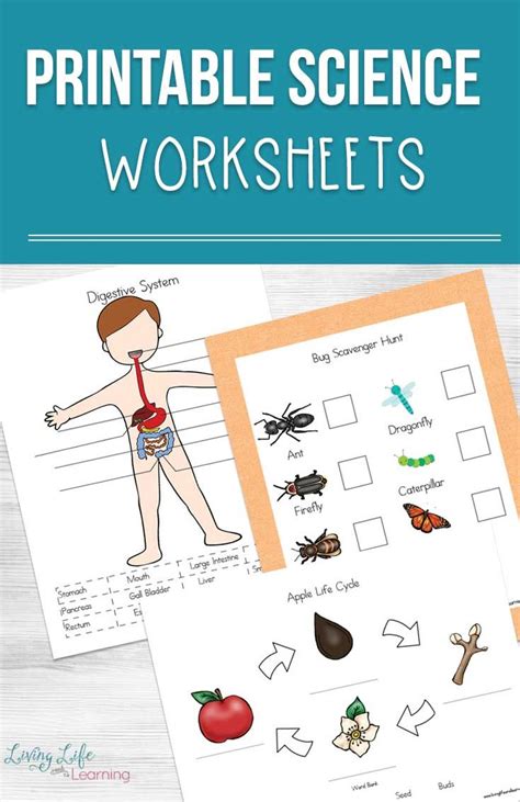 See this mega list of awesome printable Science worksheets and ...