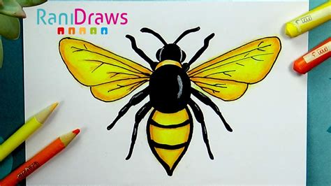 Detalles más de 83 abeja dibujo a lápiz última - Billwildforcongress