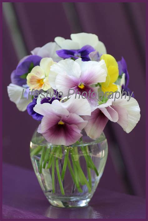 Pansy Bouquet F-V-0089-13 | Pansies flowers, Small flower arrangements ...