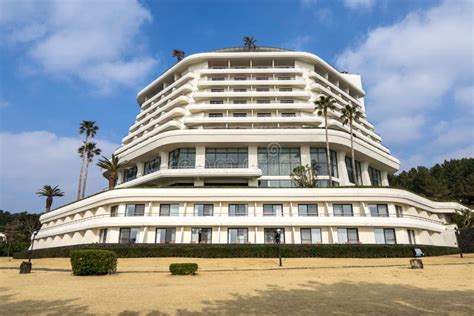 Jungmun Saekdal Beach Tropical Palm Trees in Jeju Island, Korea Stock ...