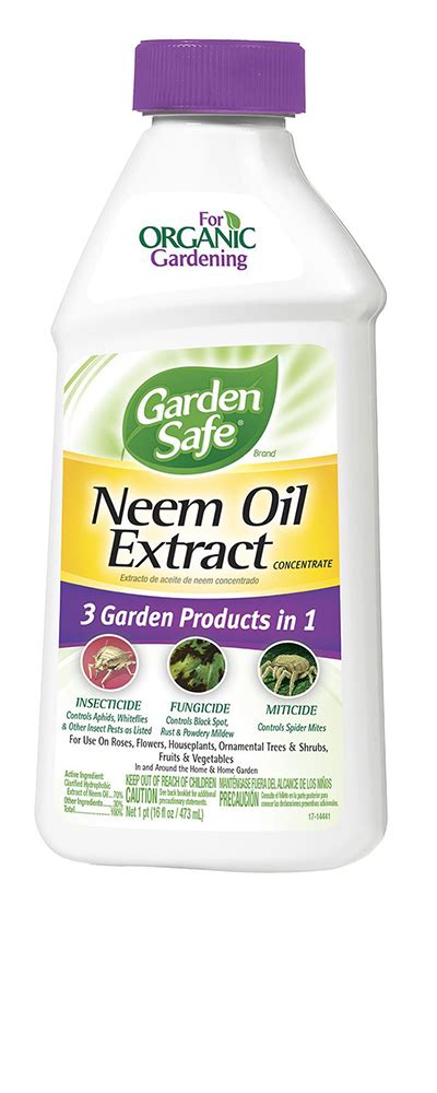 Neem Oil for Plants — Everything to Know About Neem Oil | Apartment Therapy