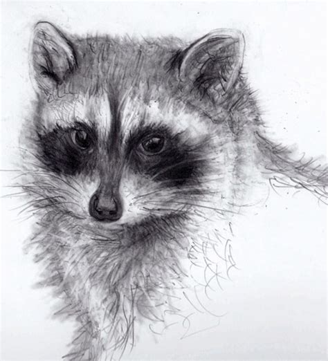 Pencil Animals on Behance