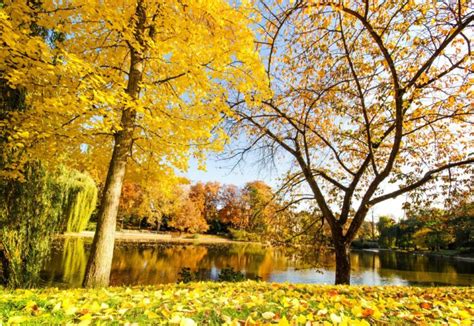 reflection, River, Trees, Autumn Wallpapers HD / Desktop and Mobile ...