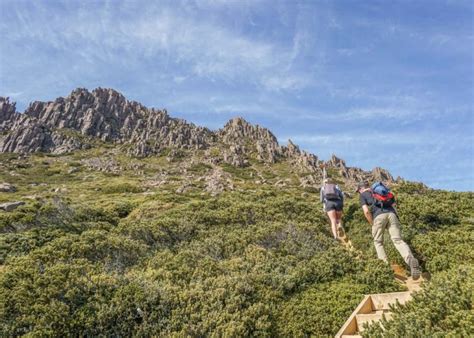 8 Best Cradle Mountain Walks (WITH ICONIC VIEWS AND MORE)