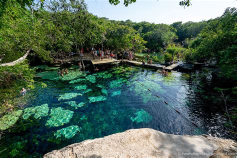 13 Best Cenotes near Playa Del Carmen (2020) | The Whole World Is A ...