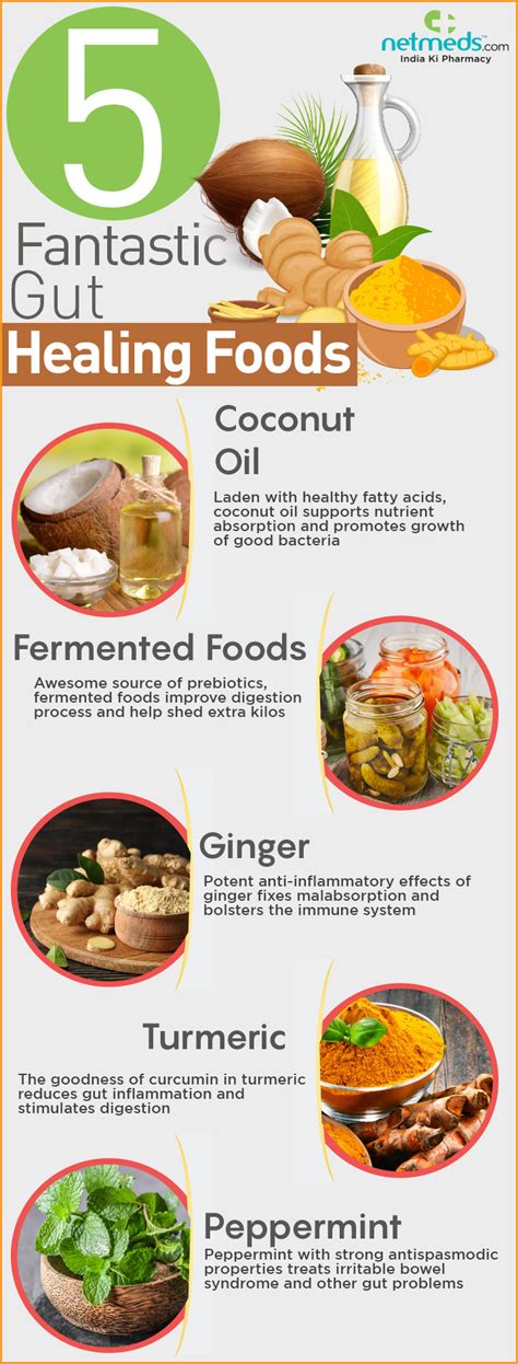 Digestive Health: 5 Splendid Foods That Enhances Gut Functions And ...