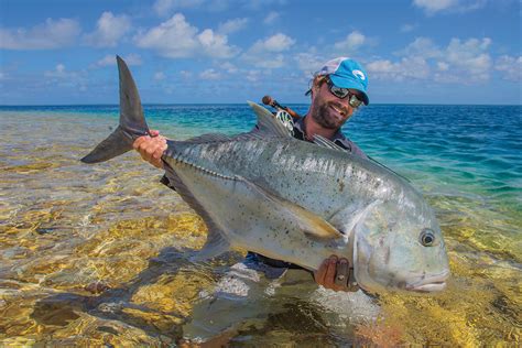 Giant Trevally: History, Facts, Size, Habitat, Classification & Much ...