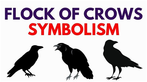 Flock of Crows Symbolism - What if a Crow if your Spirit Animal? - YouTube