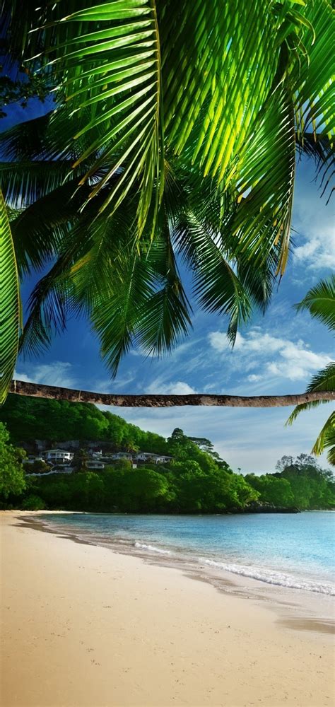 Tropical Beach Wallpaper - [1080x2280]