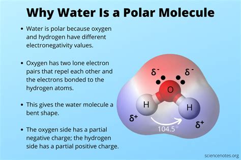 Why Is Water a Polar Molecule? Hydrogen Atom, Hydrogen Bond, Ionic ...