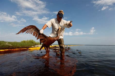 BP 2010 Oil Spill Settlement: A Timeline of Litigation - NBC News