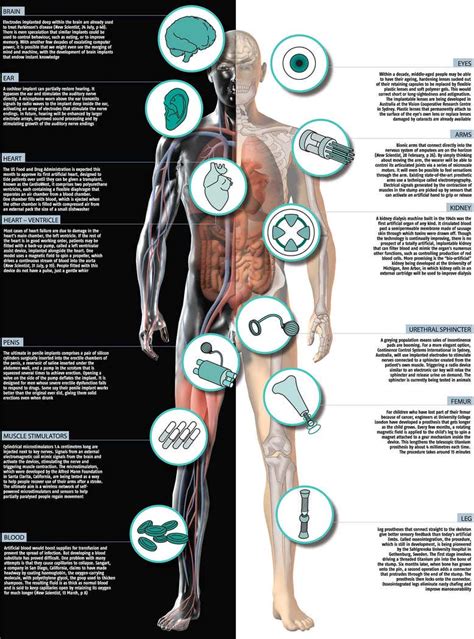 Bionic body | New Scientist