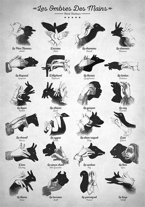 Hand Shadows Ombromanie Illustrations Shadowgraphy - Etsy Canada | Hand ...