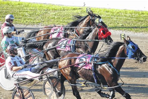 First horse fueled Bateson’s passion for harness racing - Sent-trib