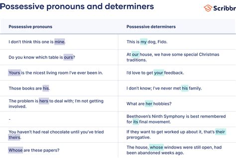 Possessive Pronouns | Examples, Definition & List