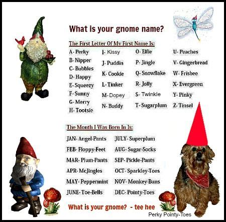 Funny Gnome Names - magicheft