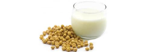 Soya milk,India price supplier - 21food