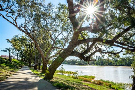 St George, Queensland - Explore St George Region