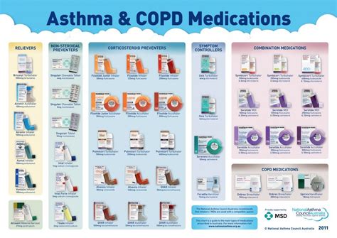 Asthma Advice That Everyone Needs To Know in 2020 | Pharmacology ...