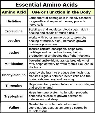 Table showing the essential amino acids. | Science classroom, Amino ...