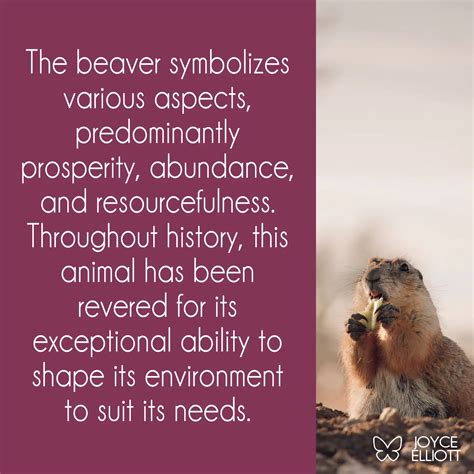 Beaver Symbolism: Nature's Master Builder and its Deep Spiritual ...