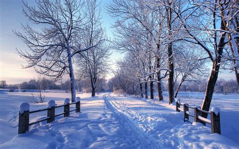 Winter Wallpaper For Mac - WallpaperSafari | Winter screensavers ...