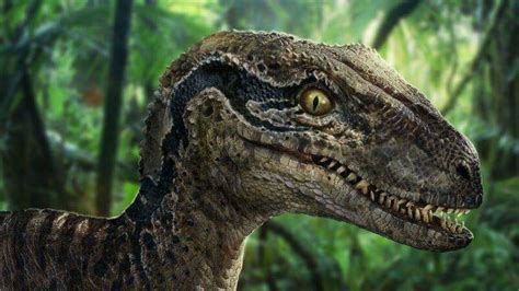 Jurassic Park’s Most Popular Dinosaurs Ranked | FANDOM