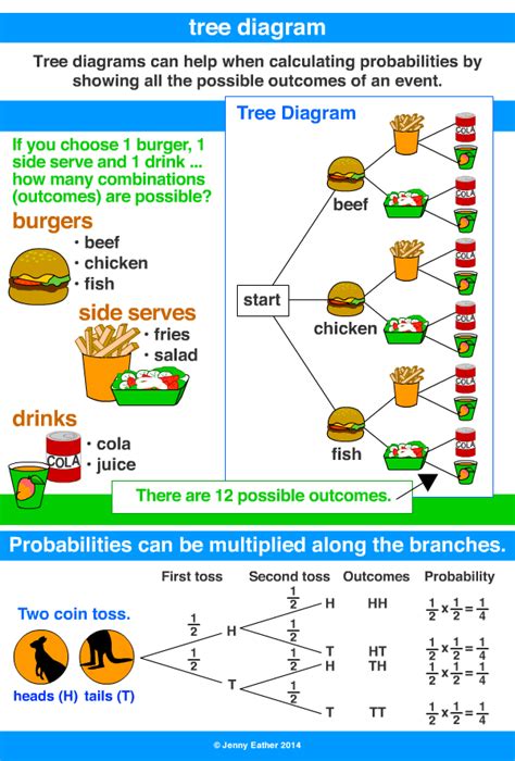 Tree Diagram for Probability Theory