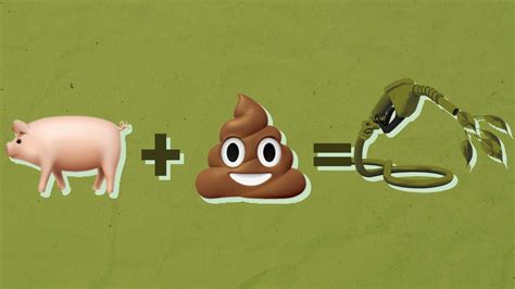 Pig Poop’s Starring Role in the Biofuel Movement